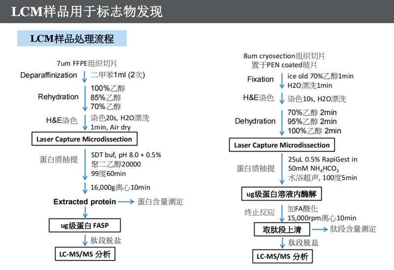 样品前处理